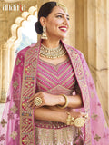 Shaded Pink Velvet Bridal Wedding Heavy Embroidery Lehenga Choli AA118 - Anaara ethnic