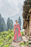 Traditional Grey Pink Pure Dola Silk Saree with Embroidery, Patchwork, Cut, and Gota Patti Detailing - 6609