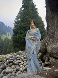 Powder Blue Organza C-Pallu Hand Work Saree with Matching Silk Blouse - 6408