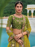 Mehndi Green  Beautiful Traditional Designer Elegant Embroidery Work Cut Work Silk Lehenga - 7105
