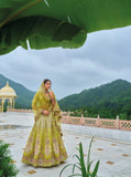Mehendi Shaded Beautiful Traditional Designer Elegant Embroidery Work Cut Work Silk Lehenga - 7111
