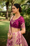 Beautiful Traditional Designer Elegant Onion Embroidery Work Cut Work Orgenza Lehenga - 6809