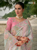Multi Color Pure Viscose Embroidered HandWork C-Pallu Saree with Pink Silk Blouse - 7209