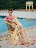 Traditional Off White Cream Pure Dola Viscose Saree with C-Pallu Embroidery, Patchwork, Cut Work Detailing - 7302
