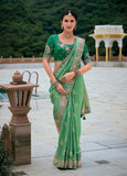 Traditional Green Pure Dola Viscose Saree with C-Pallu Embroidery, Patchwork, Cut Work Detailing - 7306