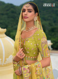 Shaded Multi Color Yellow Beautiful Traditional Designer Elegant Embroidery Work Cut Work Silk Lehenga - 7402