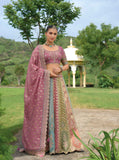 Multi Color Beautiful Traditional Designer Elegant Embroidery Work Cut Work Silk Lehenga - 7403