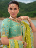 Beautiful Traditional Designer Elegant Sea Green Embroidery Work Cut Work Orgenza Silk Lehenga - 7406