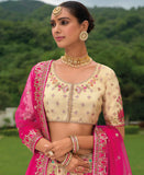 Beautiful Traditional Designer Elegant Cream Embroidery Work Cut Work Zari Kanjivaram With Bandej Lehenga - 7409