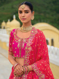 Beautiful Traditional Designer Elegant Pink Embroidery Work Cut Work Silk Lehenga - 7411