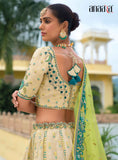 Beautiful Traditional Designer Elegant Shaded Embroidery Work Cut Work Pure Zari Tisue Lehenga - 7412