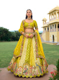 Light Gold & Lime Green Organza Embroidered Lehenga Set - 8007