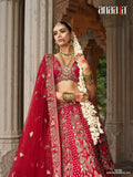 Red silk bridal lehenga choli with sequina and resham shine - AA163