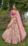 Elegant Baby Pink Circular Lehenga Set in Pure Viscos with Pink Blouse and Organza Dupatta - 6501