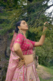 Baby Pink Circular Lehenga Set