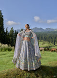 Grey Circular Lehenga Set