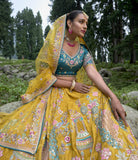 Gudwal Self Pure Viscos Lehenga