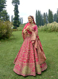 Pink Circular Lehenga Set